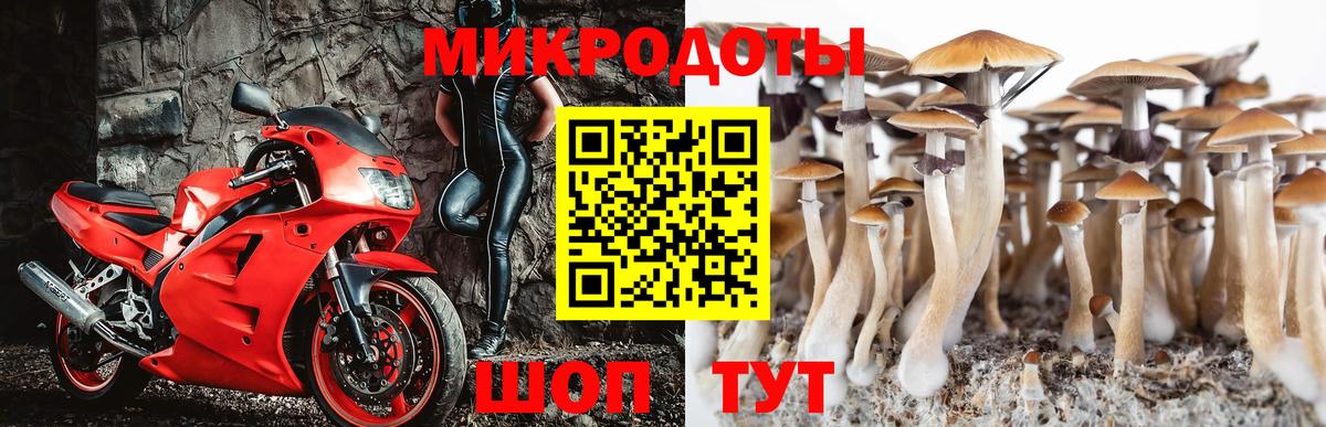 Новокубанск  Псилоцибиновые грибы прущие грибы  Вход с VPN 