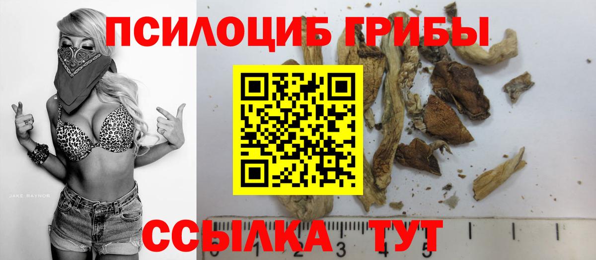 Галлюциногенные грибы Magic Shrooms Новокубанск